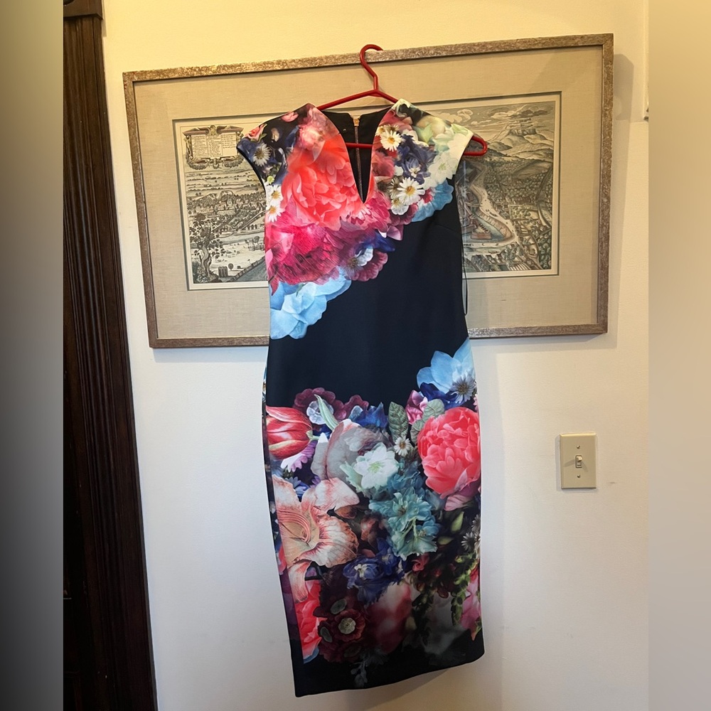 Ted Baker Floral Sheath Dress size 10